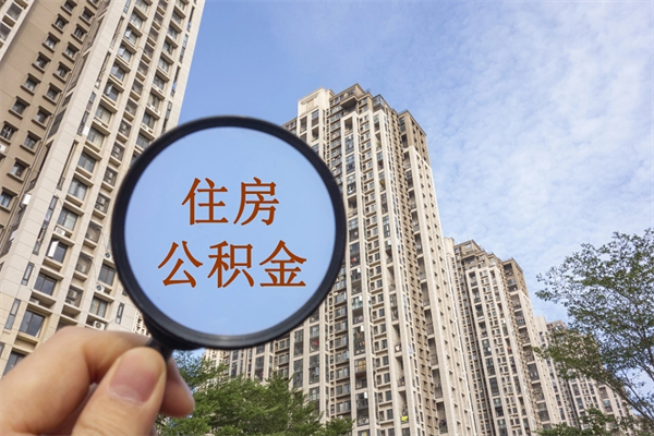 公积金还看征信吗吗_莱州公积金代办在职离职封存服务